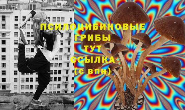 молекула духа Балабаново
