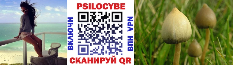 купить   Астрахань  Галлюциногенные грибы прущие грибы 
